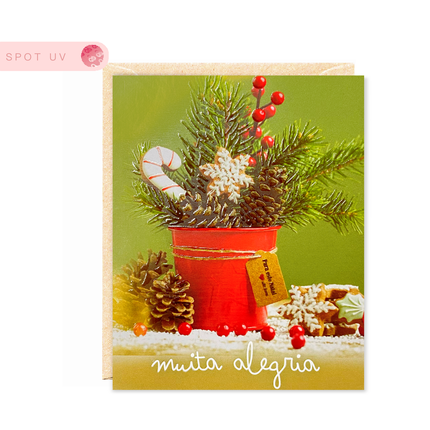 Minicards Natal bouquet
