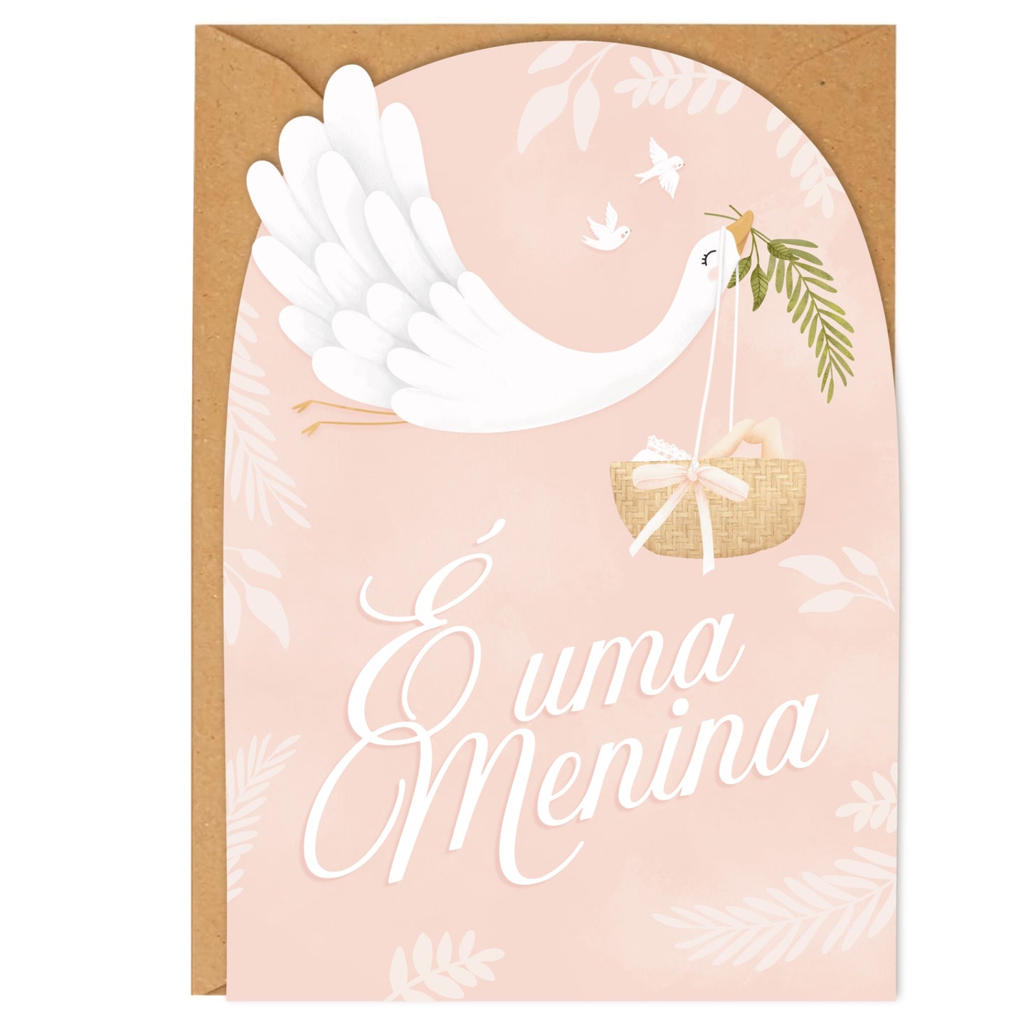 Nascimento Cegonha Menina