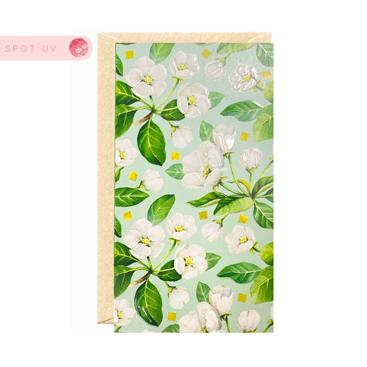 Minicards laranjeira