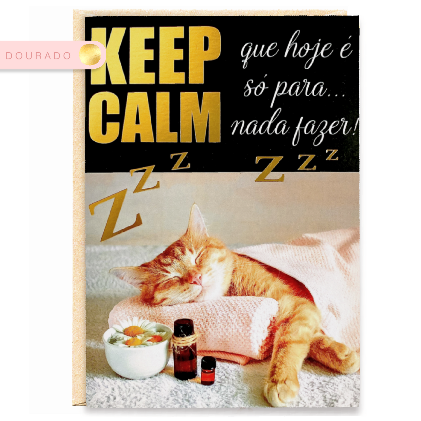Dourados gato relax